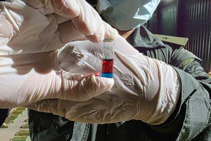 Secuestro de 431 kilos de cocaína en Salta