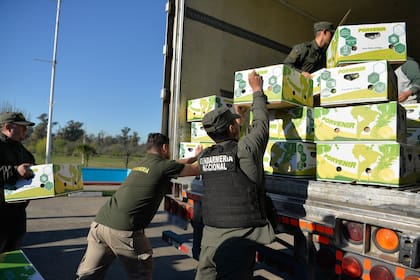 Secuestro de 444 kilos de cocaína en Monte Grande