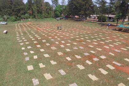 Secuestro de casi nueve toneladas de marihuana en Misiones