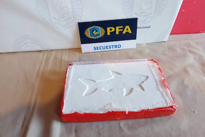 Secuestro de cocaína en Corrientes