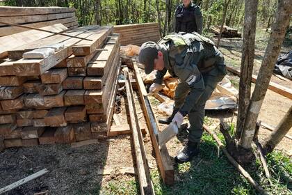 Secuestro de dos toneladas de marihuana ocultas en vigas de madera, en Misiones