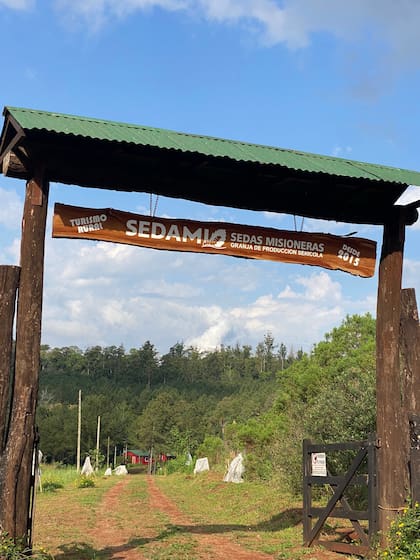 Sedami está en Eldorado, Misiones.