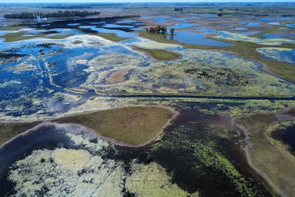 Según Carbap, en el centro provincial más de 1,5 millones de hectáreas podrían quedar sin producir