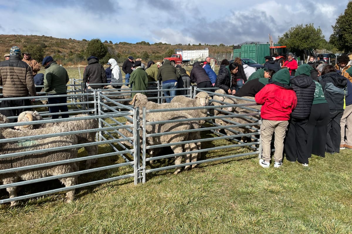 Según comentaron en la institución, se trató de una nueva edición de las jornadas realizadas en la Patagonia, “apuntando en sus contenidos teóricos y prácticos a productores, cabañeros, técnicos y profesionales vinculados a la actividad ovina”