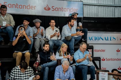 Según comentaron los organizadores, este martes continúa la actividad de la raza Braford en Las Nacionales, con la 22° Exposición Nacional, de animales adultos; también la raza Brahman realiza sus juras de clasificación, tanto en corrales como en bozales