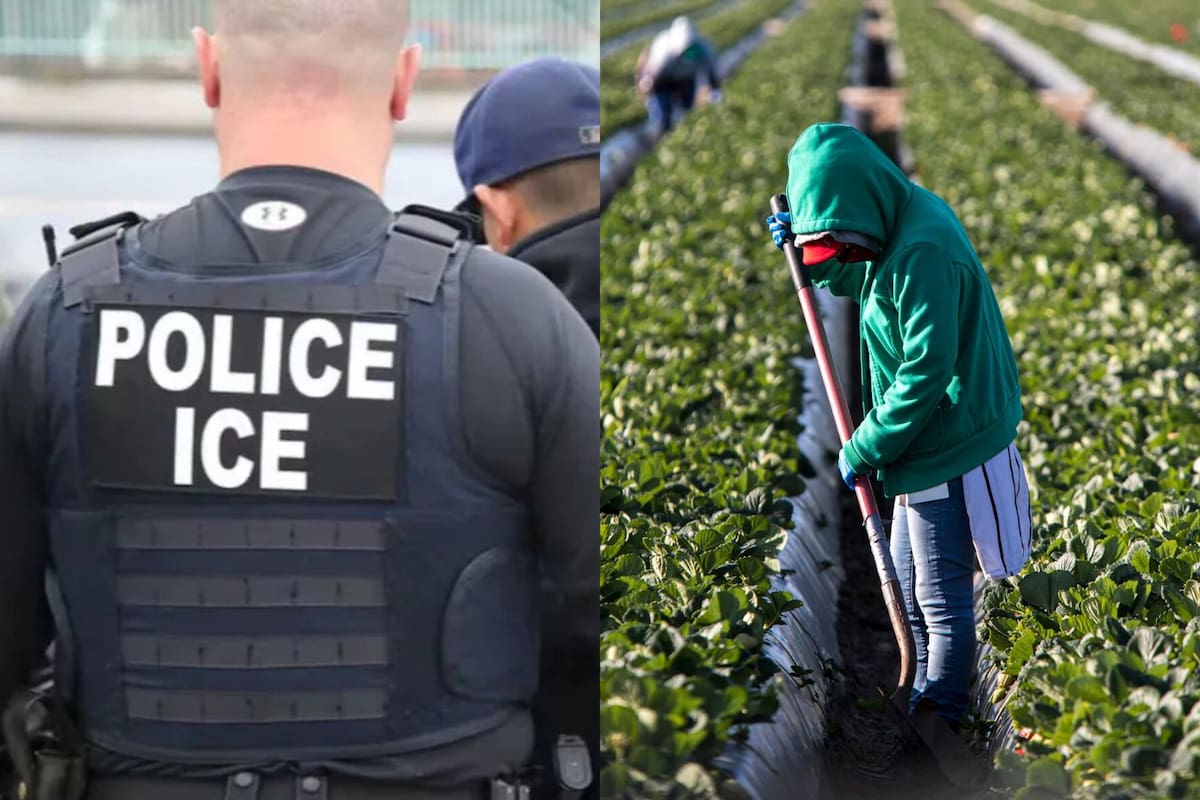 Según cosingó Pew Research Center, entre enero y junio de 2025, el número de inmigrantes que vivían y trabajaban en Estados Unidos disminuyó