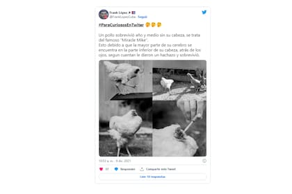 Según cuentan le dieron un hachazo y sobrevivió.