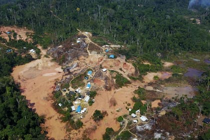 Según datos satelitales analizados por el Instituto del Hombre y Medio Ambiente (Imazon), entidad no gubernamental que funciona en el estado de Pará, la deforestación en la Amazonia brasileña creció el 80% en septiembre en comparación con el mismo mes del año anterior.