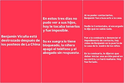 Según de Brito, Benjamín Vicuña no pudo ver a sus hijos, Magnolia y Amancio
