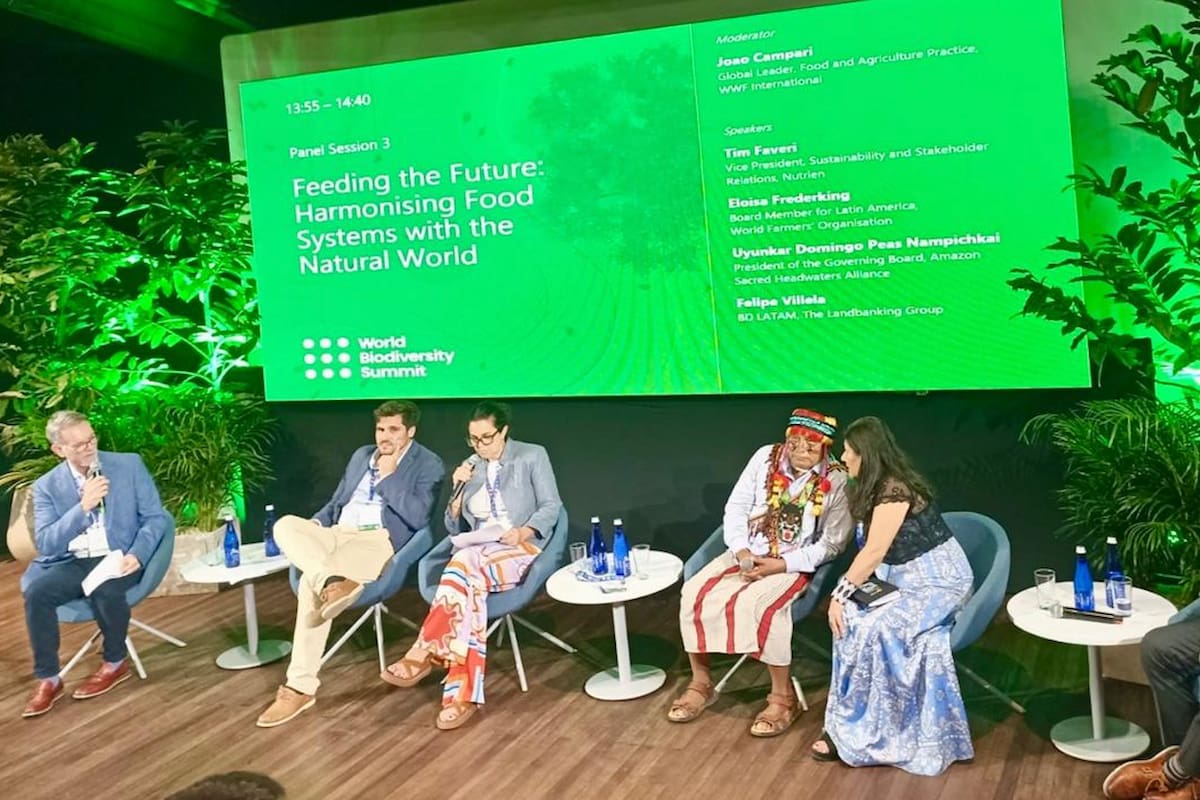 Según describieron, la COP16 es la primera reunión de la comunidad internacional con "una hoja de ruta sin precedente para salvaguardar la naturaleza”