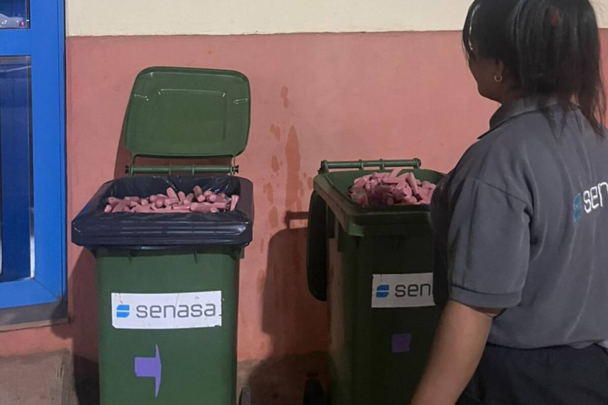 Según dijeron, el Senasa, en su rol como organismo nacional, “fortalece las acciones de control en los pasos fronterizos internacionales” de manera constante y estratégica