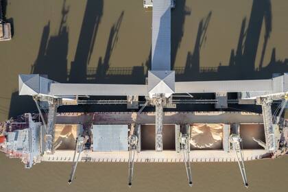 Según dijeron en Ciara-CEC, el ingreso de divisas de mayo es el resultado del avance de la cosecha de soja y de la continuidad de la reducción de Derechos de Exportación (DEX) bajo el decreto 38/25