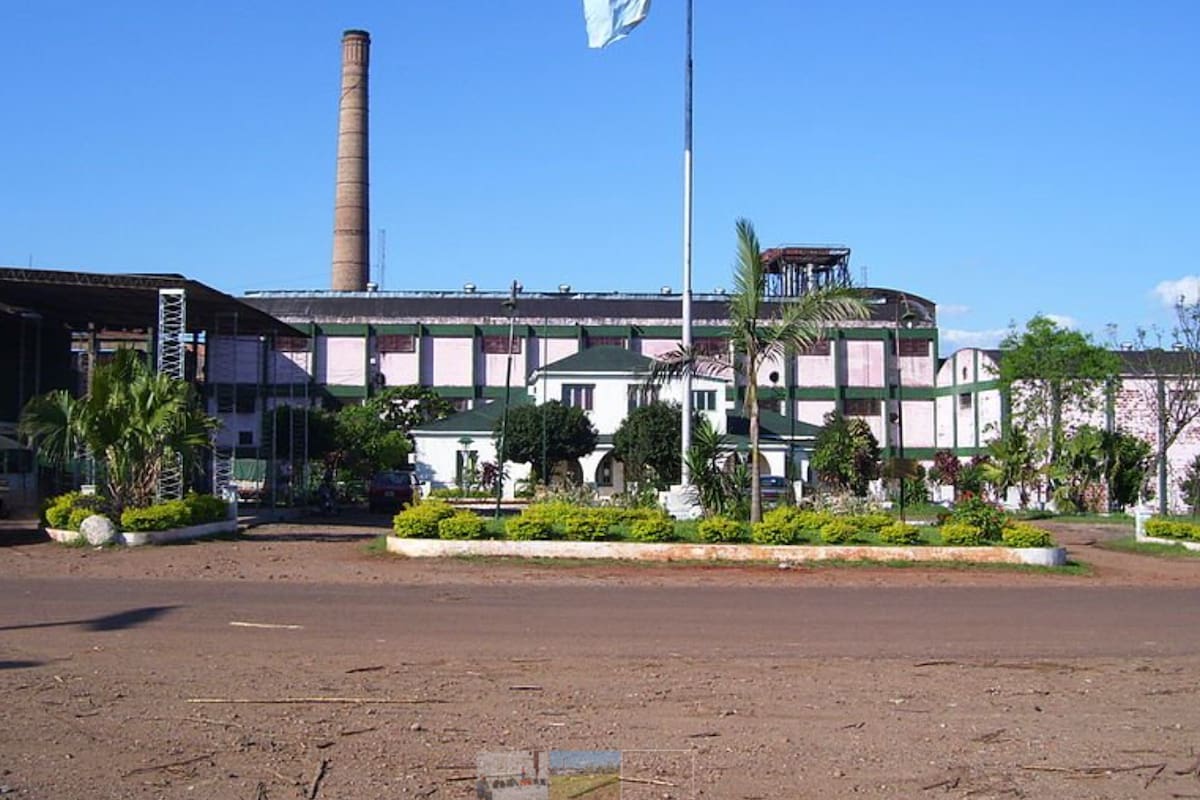 Según dijeron en el ingenio, con las 8000 toneladas que se van a cosechar buscarán destinarlas a insumo, forraje o alimento para las asociaciones de ganaderos de la provincia