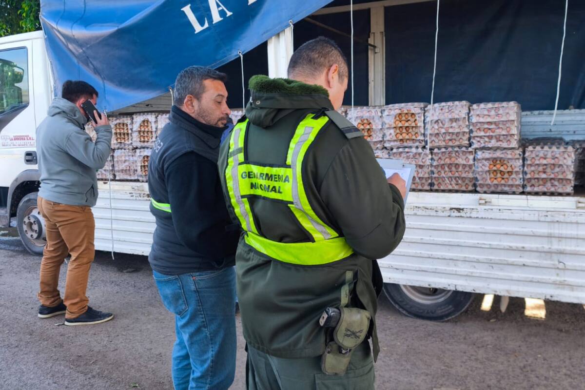 Según dijeron en el organismo, "la mercadería tenía marcas comerciales radicadas en otro país, por lo que se presume que había sido ingresada por vías ilegales sin certificación de importación”