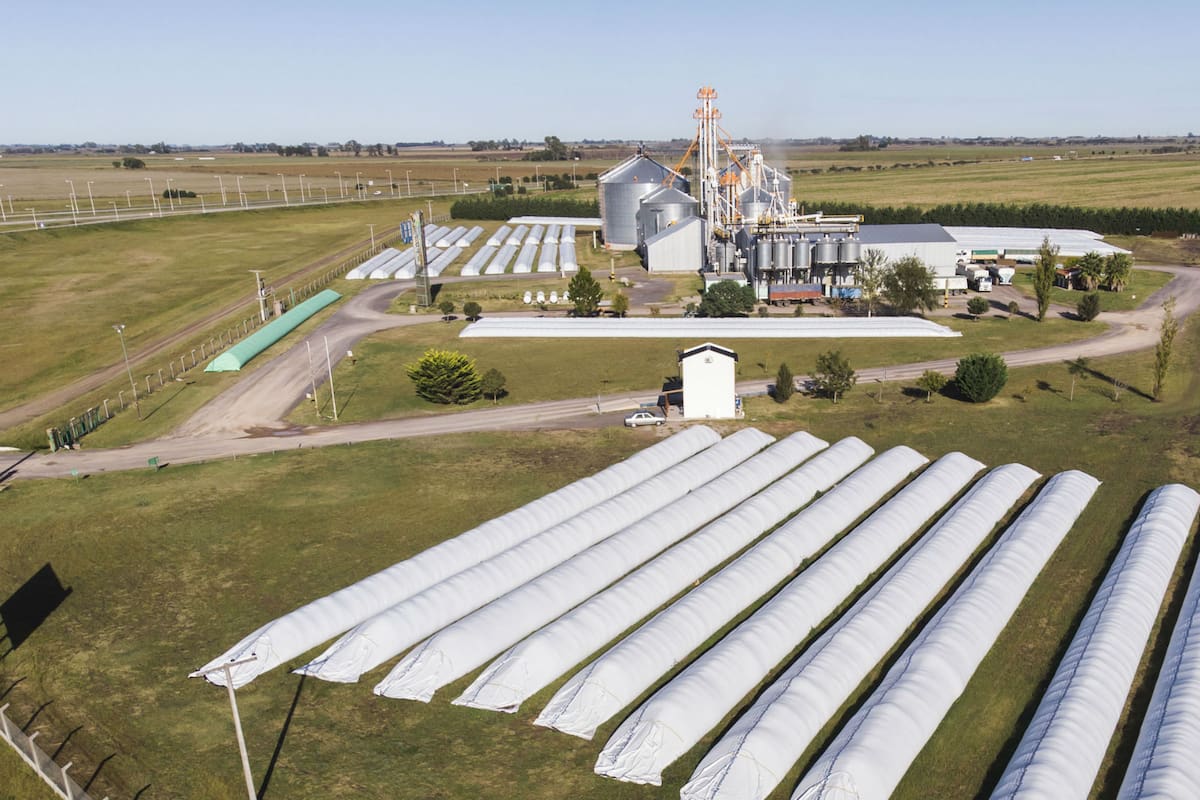 Según el CAA, "es indispensable que el productor agropecuario tenga claros incentivos a producir más para lo cual es necesario trabajar en un esquema de reducción de la alta carga de impuestos nacionales, provinciales y municipales"
