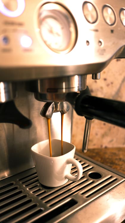 Según el especialista, la ciencia demuestra que el café transforma la microbiota intestinal y protege nuestras funciones cognitivas