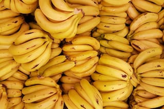 Tenía semillas gigantes y casi no se podía comer: cómo era el plátano hace miles de años
