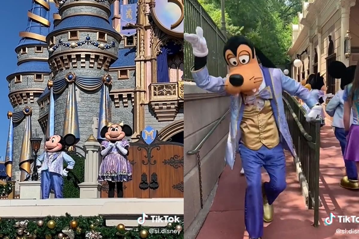 Según el experto en esta atracción turística, hay tres actividades que no deben hacer en Disney World las personas que no hablan inglés