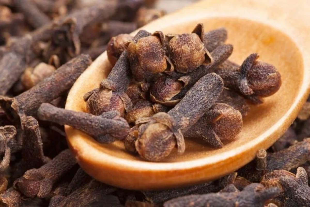 Según el feng shui, el clavo de olor es una planta poderosa que protege contra la envidia