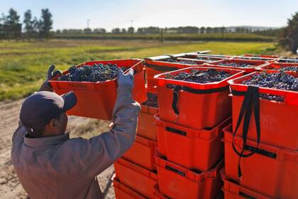 Según el Gobierno de San Juan, la suba de retenciones afectó a la actividad