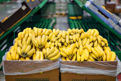 Según el Gobierno, la medida "busca mejorar la trazabilidad de esta fruta en el mercado nacional y fortalecer la inocuidad del producto que llega a los consumidores”