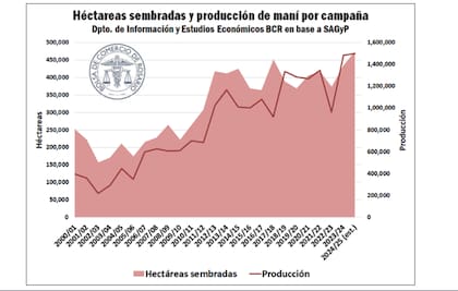 Según el informe de la Secretaría de Agricultura, en la campaña 2024/25 se implantaron aproximadamente 473.976 hectáreas de maní en el país, superando en un 9% a las siembras de la campaña previa y registrando un récord absoluto de área