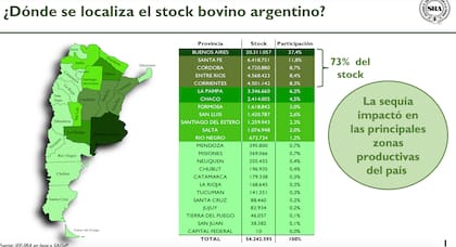Según el informe de la SRA, el 73% del stock bovino se ubica en las provincias productivas en donde más afectó la sequía: Buenos Aires, Santa Fe, Córdoba, Entre Ríos y Corrientes