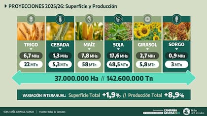 Según el informe, la superficie destinada a los cuatro cultivos de mayor peso alcanzará 29 millones de hectáreas