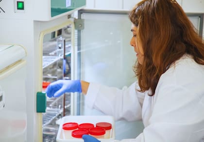 Según el INTA, el logro permitirá a mediano plazo, la posibilidad de avanzar en el escalado del prototipo a nivel precomercial