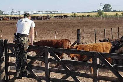Según el Ministerio de Seguridad provincial, el delito rural bajó en Pergamino, pero los productores alertan que subió