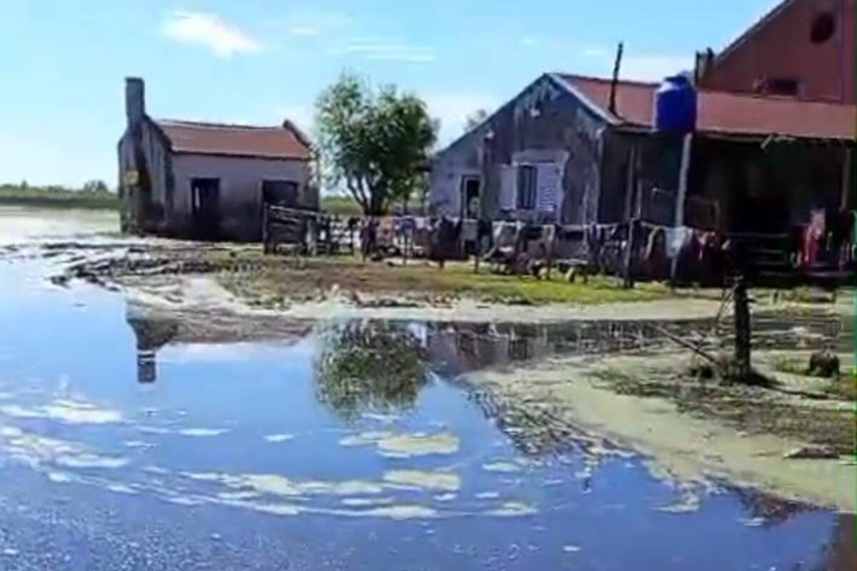 Según el productor Julián Carlos, en los últimos tres años solo entró por la tranquera un año y medio