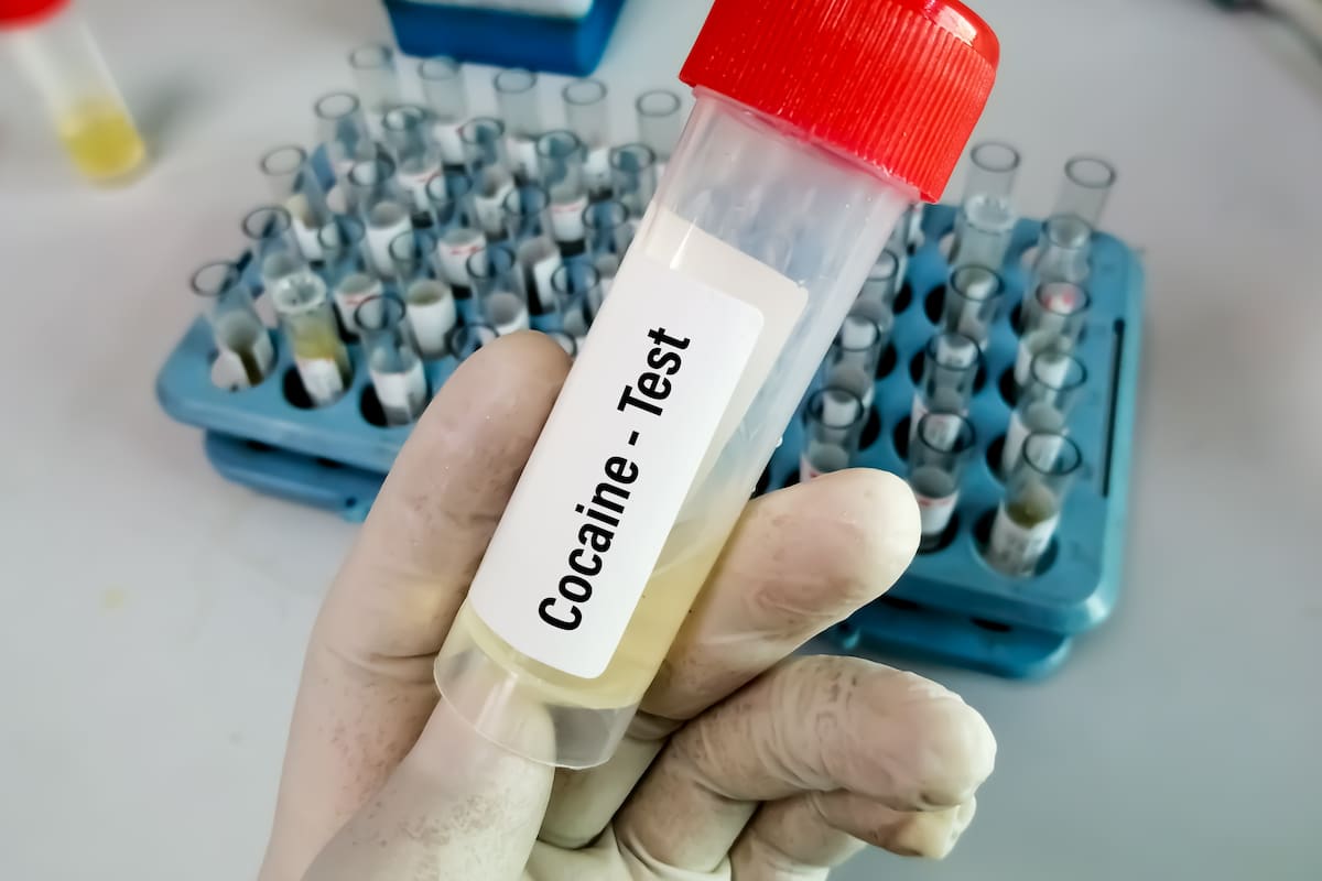 Según el proyecto de ley impulsado por Mansilla, los legisladores y funcionarios se debería someter -entre otros- a test de drogas