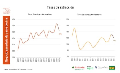 Según el reporte de CREA, "las tasas de extracción de machos y hembras continúan en valores elevados respecto a esos momentos de retención"