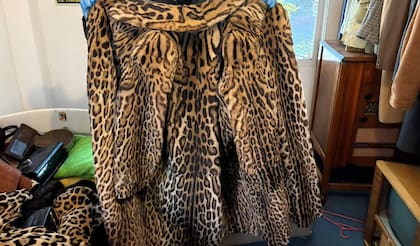 Según expertos, en este tapado de piel de yaguareté, hallado en Villa Urquiza, se usó la cabeza del animal para confeccionar las mangas