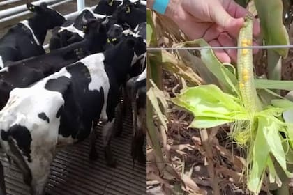 Según explicaron, este es un momento bisagra