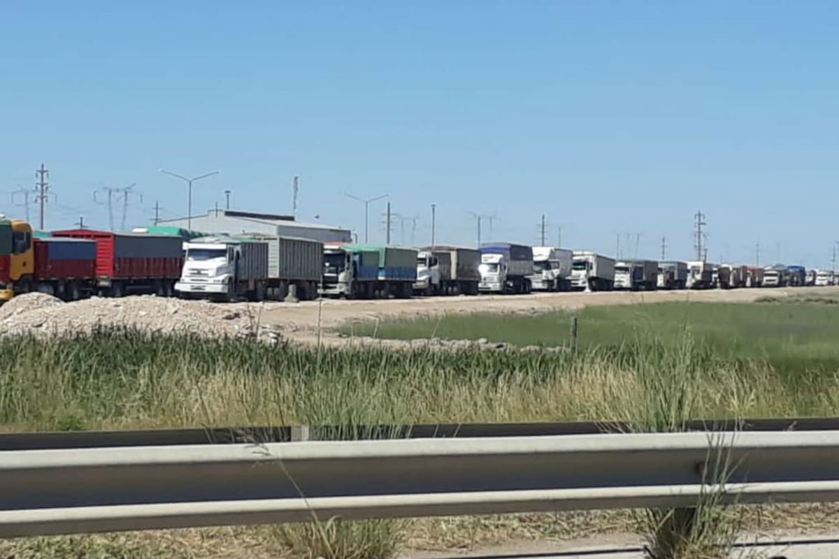 Según exportadores, por el paro de hoy las pérdidas alcanzan los 100 millones de dólares.