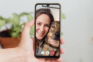 Según Ilyena Hirskyj-Douglas, investigadora de la Universidad de Glasgow, los perros pueden interactuar con la tecnología para estar en contacto con sus dueños mediante videollamadas