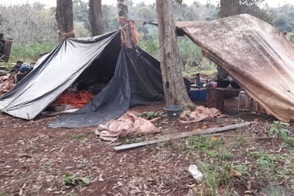 Según informaron en la AFIP, “los trabajadores sufrían, además, la restricción de su libertad y convivían bajo condiciones precarias de salubridad e higiene, alojados en carpas improvisadas, construidas con lonas plásticas y tablas, sin acceso a agua potable ni a instalaciones sanitarias adecuadas”