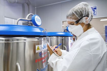 Según informaron, “las dosis provistas se integrarán a campañas masivas de vacunación por fases, enfocadas en los focos de mayor circulación viral identificados mediante mapas de riesgo (’heatmaps’), con metas de cobertura superiores al 80% en rodeos comunales y hasta el 100% en feedlots y tambos”