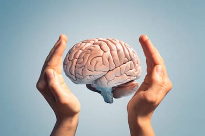 Según investigadores de Yale, los adultos mayores pueden mejorar su memoria y movilidad con el tiempo