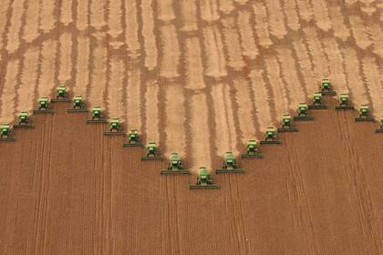 Según la Conab, Brasil recolectaría un récord histórico de 162,43 millones de toneladas de soja en la campaña 2023/2024