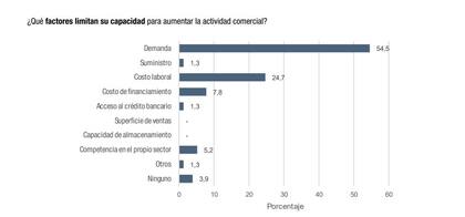 Según la Encuesta de Tendencia de Negocios del Indec, el 54,5% de las empresas del sector identifica a la falta de demanda como el principal límite para crecer, muy por encima de otros factores como costos o financiamiento.