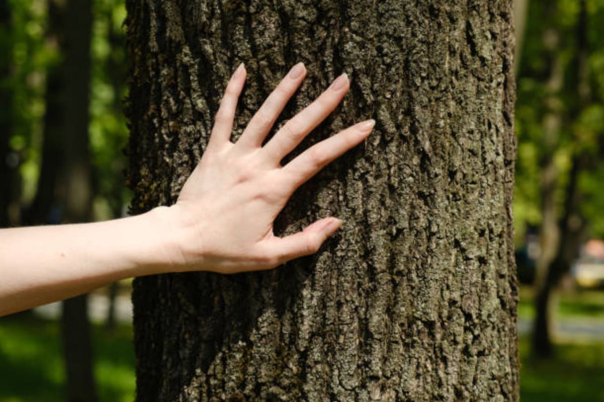 Según la especialista, la vida moderna y la tecnología desafían los límites de nuestros sentidos (Foto: istock)
