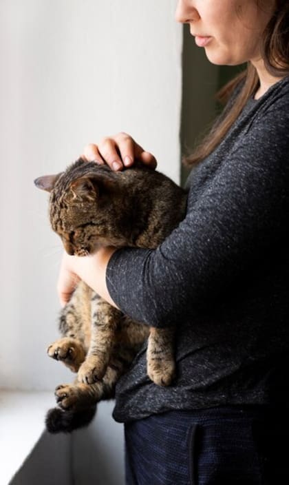 Según la investigación, los gatos adoptan muchas veces la conducta de sus personas de confianza