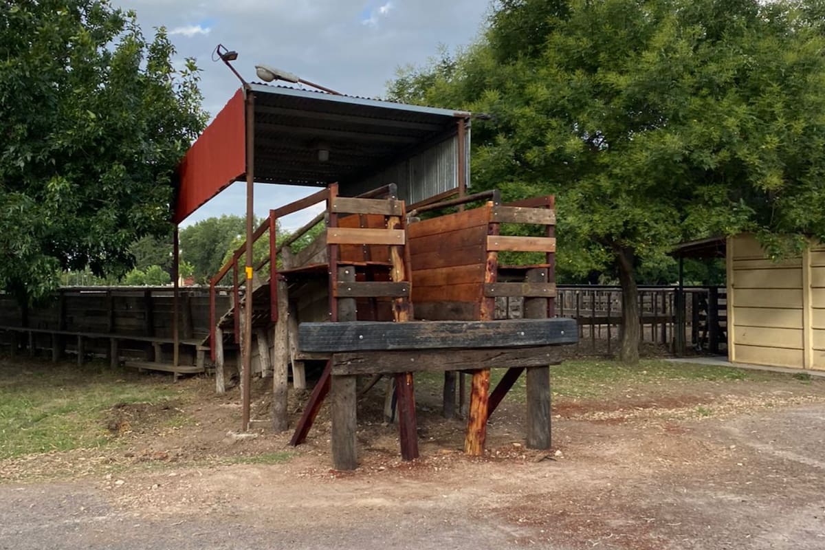 Según la nueva normativa del Senasa, los embarcaderos de las ferias deberán ser dos metros más largos de manera recta; así quedó el embarcadero en la Sociedad Rural de Azul, que ayer fue habilitado hasta diciembre del 2024