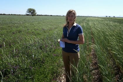 Según la productora, "la clave está en el impacto en el ambiente natural y social"