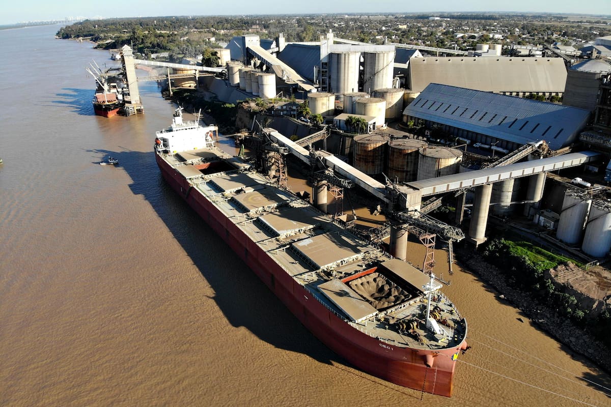 Según los analistas, las exportaciones se intensifican en un contexto de cosecha activa, dólar estable y retenciones transitoriamente más bajas