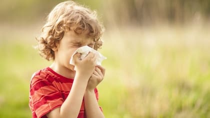 Según los científicos, la susceptibilidad de un niño a desarrollar alergias no tiene nada que ver con la limpieza sino con su exposición a diferentes tipos de microorganismos (FOTO: GETTY)