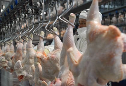 Según los datos del Senasa en lo que va de este 2025 llegaron al país 10.470,98 toneladas de carne de pollo desde Brasil