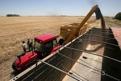 Según los especialistas en agroclimatología, hasta mediados de enero sólo se verán lluvias dispersas